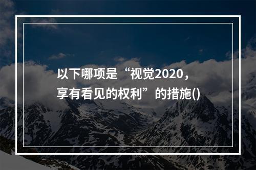 以下哪项是“视觉2020，享有看见的权利”的措施()