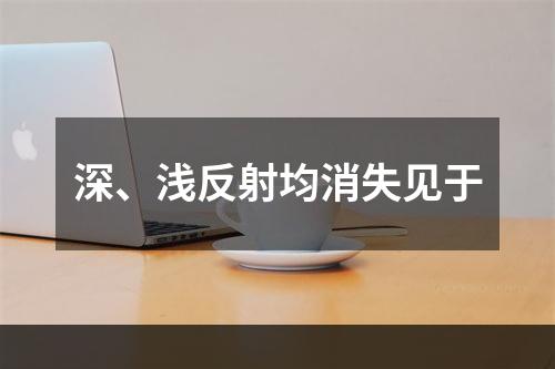 深、浅反射均消失见于