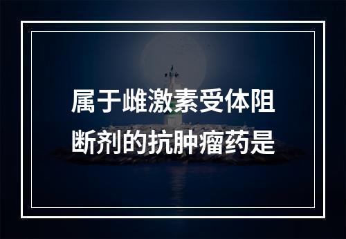 属于雌激素受体阻断剂的抗肿瘤药是