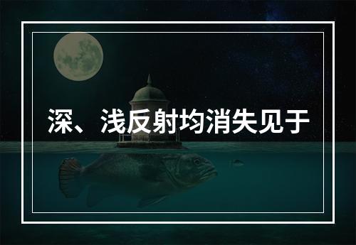 深、浅反射均消失见于