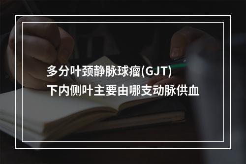 多分叶颈静脉球瘤(GJT)下内侧叶主要由哪支动脉供血