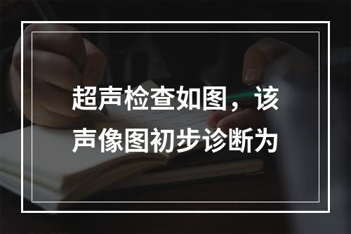 超声检查如图，该声像图初步诊断为