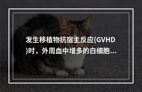 发生移植物抗宿主反应(GVHD)时，外周血中增多的白细胞主要