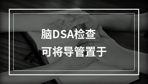 脑DSA检查可将导管置于