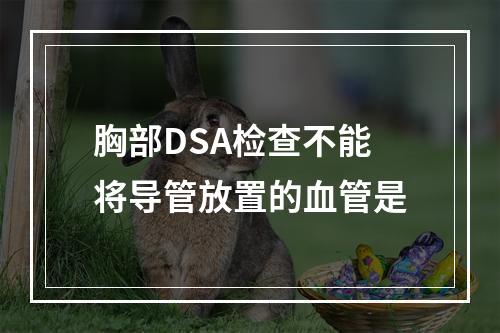 胸部DSA检查不能将导管放置的血管是