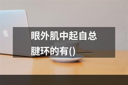 眼外肌中起自总腱环的有()