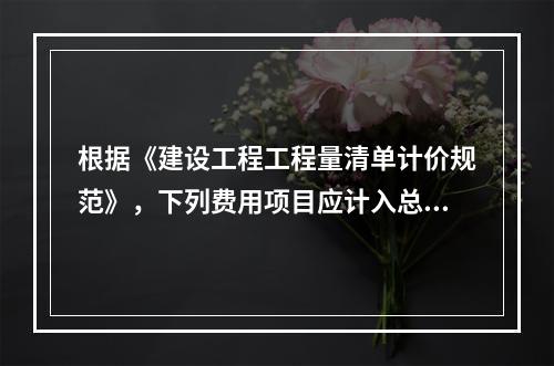 根据《建设工程工程量清单计价规范》，下列费用项目应计入总承包