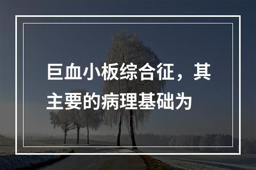 巨血小板综合征，其主要的病理基础为