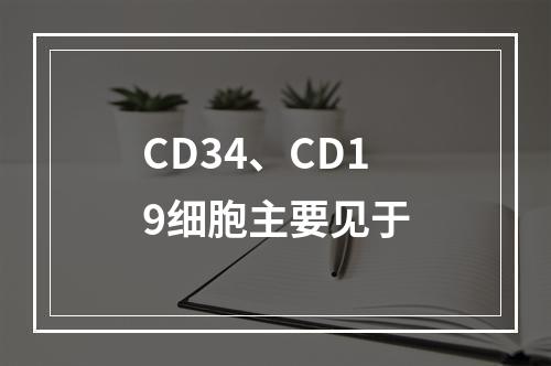 CD34、CD19细胞主要见于