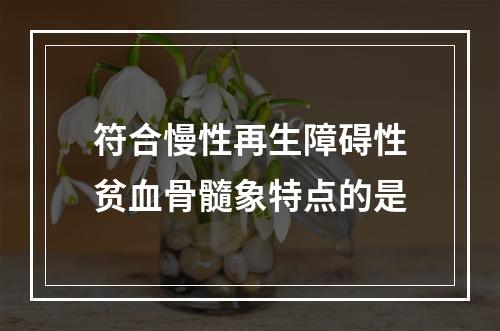 符合慢性再生障碍性贫血骨髓象特点的是