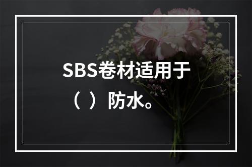 SBS卷材适用于（  ）防水。