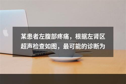 某患者左腹部疼痛，根据左肾区超声检查如图，最可能的诊断为