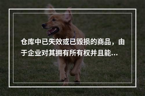 仓库中已失效或已毁损的商品，由于企业对其拥有所有权并且能够实