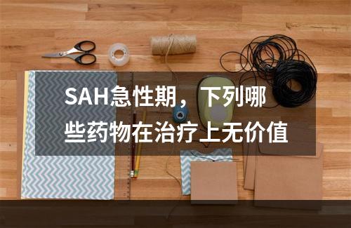 SAH急性期，下列哪些药物在治疗上无价值