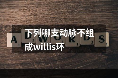 下列哪支动脉不组成willis环