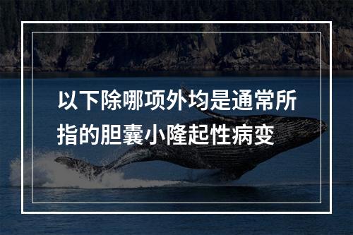 以下除哪项外均是通常所指的胆囊小隆起性病变