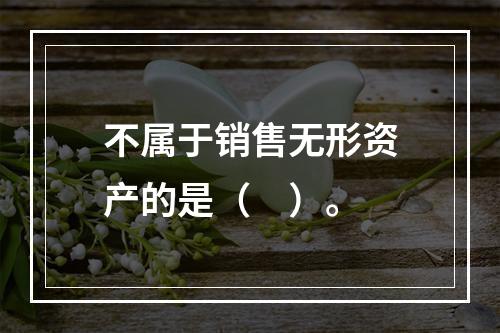 不属于销售无形资产的是（　）。