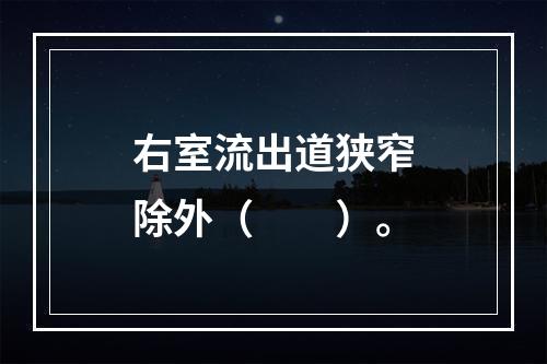 右室流出道狭窄除外（　　）。