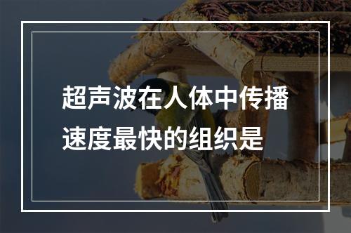 超声波在人体中传播速度最快的组织是