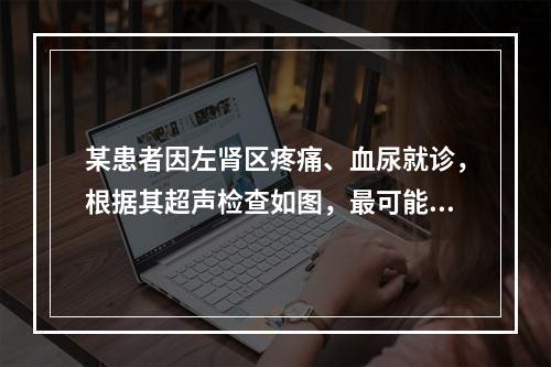 某患者因左肾区疼痛、血尿就诊，根据其超声检查如图，最可能的诊