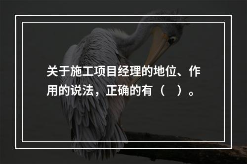 关于施工项目经理的地位、作用的说法，正确的有（　）。