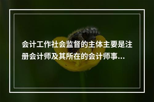 会计工作社会监督的主体主要是注册会计师及其所在的会计师事务所