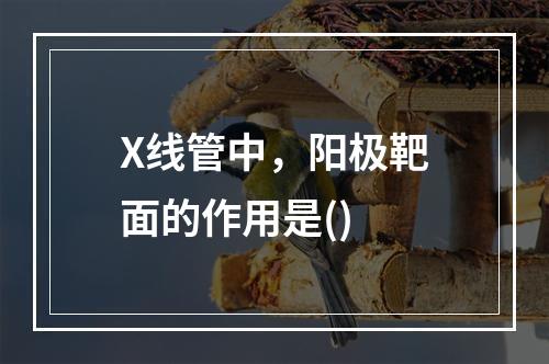 X线管中，阳极靶面的作用是()