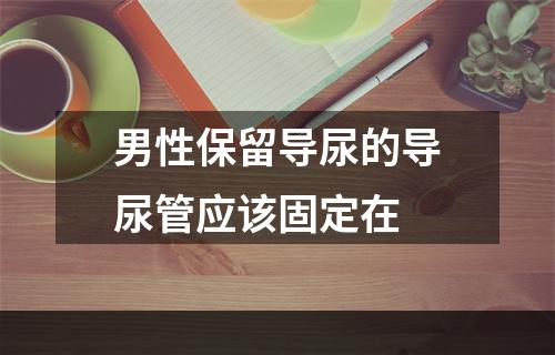 男性保留导尿的导尿管应该固定在