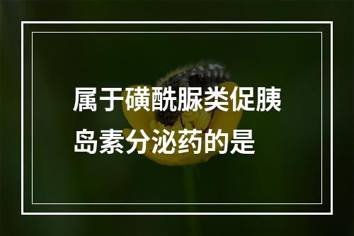 属于磺酰脲类促胰岛素分泌药的是