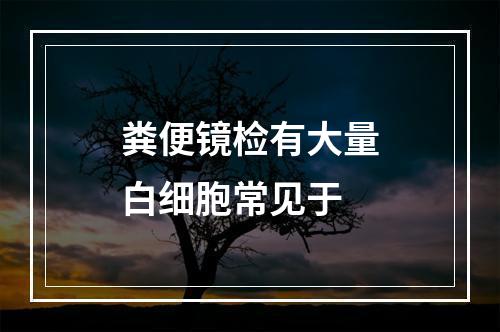 粪便镜检有大量白细胞常见于