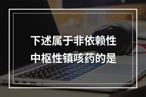 下述属于非依赖性中枢性镇咳药的是