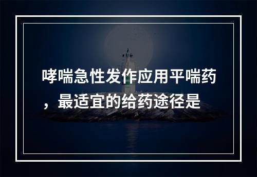 哮喘急性发作应用平喘药，最适宜的给药途径是