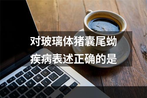 对玻璃体猪囊尾蚴疾病表述正确的是