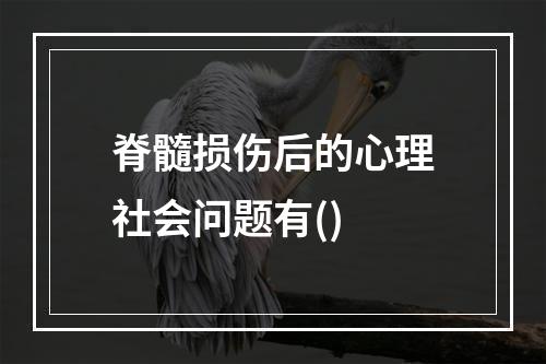 脊髓损伤后的心理社会问题有()