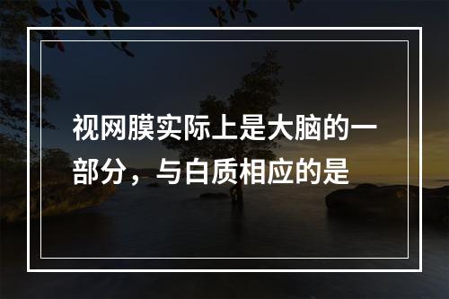 视网膜实际上是大脑的一部分，与白质相应的是