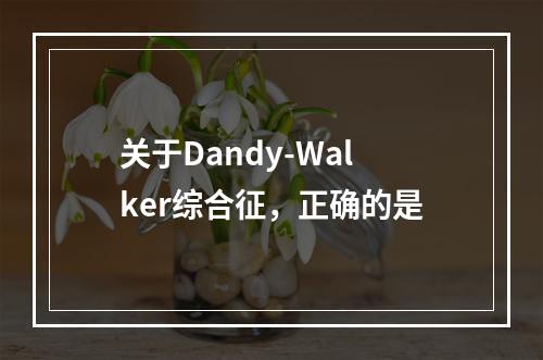 关于Dandy-Walker综合征，正确的是