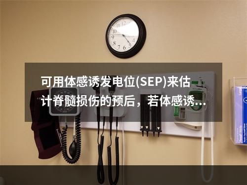 可用体感诱发电位(SEP)来估计脊髓损伤的预后，若体感诱发电