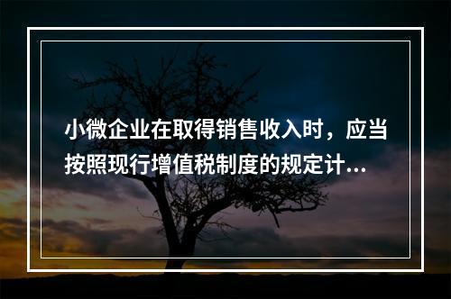 小微企业在取得销售收入时，应当按照现行增值税制度的规定计算应