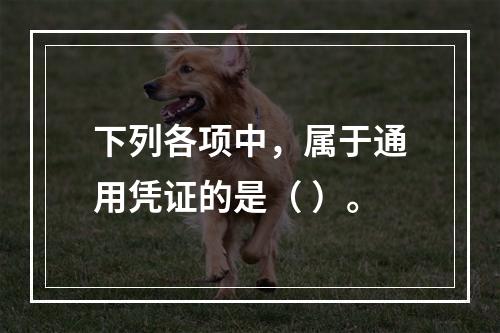 下列各项中，属于通用凭证的是（ ）。