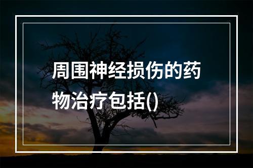 周围神经损伤的药物治疗包括()