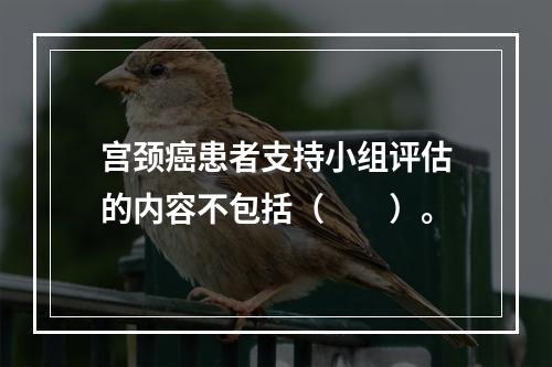 宫颈癌患者支持小组评估的内容不包括（　　）。