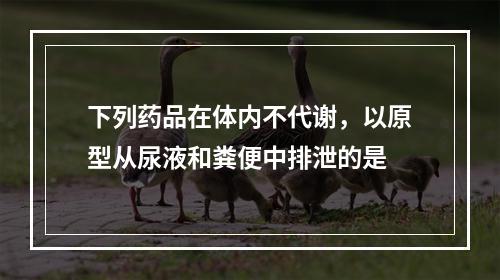 下列药品在体内不代谢，以原型从尿液和粪便中排泄的是