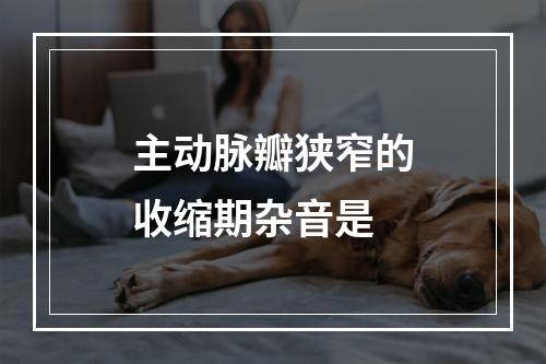 主动脉瓣狭窄的收缩期杂音是