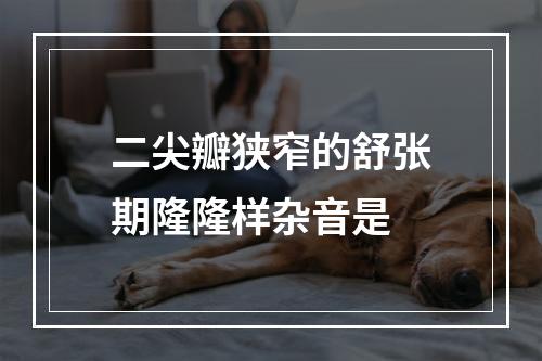 二尖瓣狭窄的舒张期隆隆样杂音是