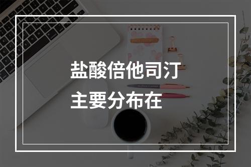 盐酸倍他司汀主要分布在