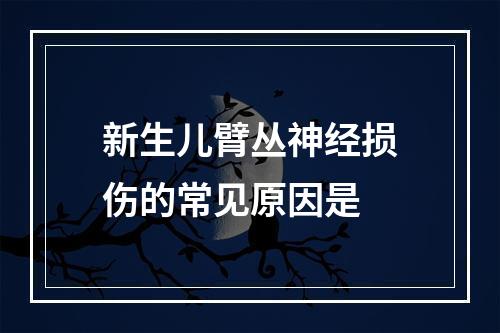 新生儿臂丛神经损伤的常见原因是