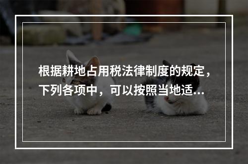 根据耕地占用税法律制度的规定，下列各项中，可以按照当地适用税