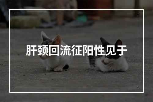 肝颈回流征阳性见于