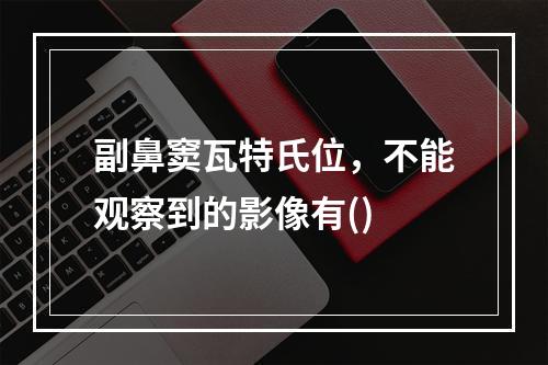 副鼻窦瓦特氏位，不能观察到的影像有()