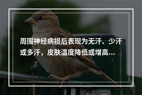 周围神经病损后表现为无汗、少汗或多汗，皮肤温度降低或增高，色